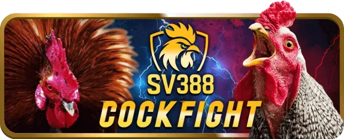 Giao diện biểu mẫu đăng nhập v7sb app