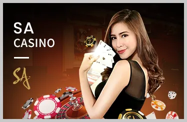 Chương trình VIP v7sb app